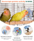 Goodlifebird 2 Pcs Bird Toys for Parakeets, Budgie Toys, Spinning Wheel Parrot Toys, Chewing Exercisers, Interactive