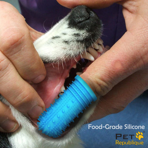 Pet Republique 360 (3-Count 1-Storage Degree Finger Toothbrush for Dogs and Cats Full Surround Silicone Bristles
