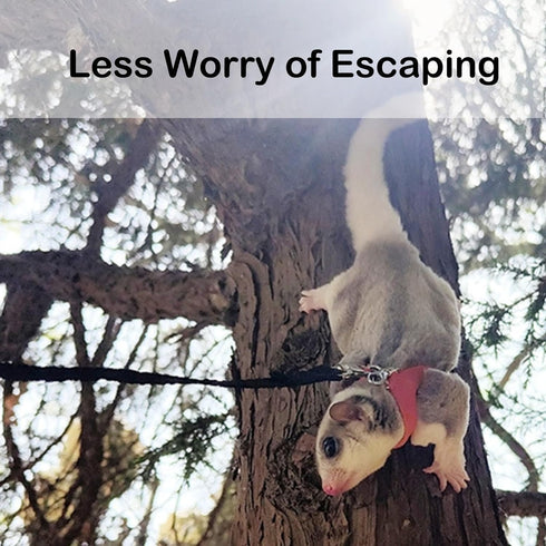 3PC Set Sugar Glider Harness Leash for Small Animal Soft Leather Training Ourdoor Walking Vest for Squirrel Hamster Rat