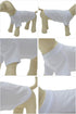 Lovelonglong Pet Clothing Basic Blank T-Shirt Tee for Small Dogs - White, Size L
