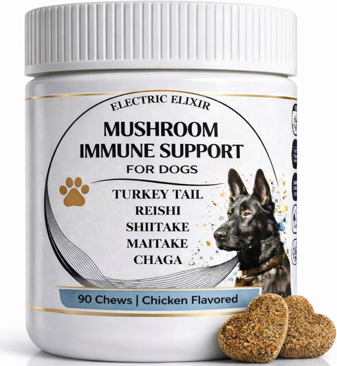 Turkey Tail Mushroom for Dogs - Organic Immune Support Chews - Buddy
