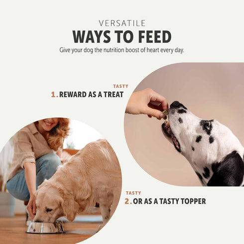 FOUR LEAF ROVER Beef Heart Treats with Seven Shrooms - Healthy Dog Snacks