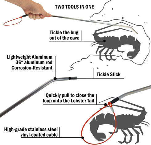 SPEARFISHING WORLD Aluminum Lobster Tickle Stick and Lasso Noose Loop All in One