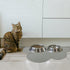 DesignSter Pet Food Mats, Anti-Slip Waterproof Dog Cat Feeding Mat, Top Grade Cloud Silicone Pad (Dark Gray)