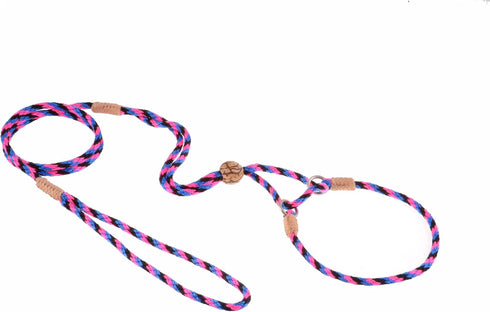 Alvalley Martingale Dog Leash with Collar - Soft Nylon Leash for Small, Medium Dogs - Perfect for Training & Walking