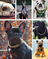 Gold Chain Dog Collar, 3/4 inch Cuban Link Necklace for Pit Bulldog, Light Metal Jewelry Chain, 17"