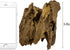 Hamiledyi Natural Driftwood for Aquarium Decor, Sinkable Reptile Wood Branches for Fish Tank Habitat