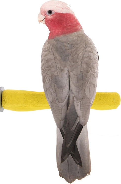 Sweet Feet and Beak Comfort Grip Safety Perch for Bird Cages -