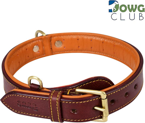 Genuine Leather Dog Collar - Full Grain, Heavy Duty, Comfortable, Padded for Pups, Small, Medium, Large & XL Breeds