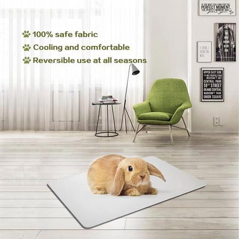 Rabbit Cooling Pad, FIPASEN 11.8x7.9 IN Mat for Hamster, Bunny, Guinea Pig & Small Pets - 2PCS