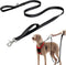 Sporn Dual Handle Padded Dog Training Leash, 6ft Heavy Duty for Maximum Control, Reflective Strap for Visibility