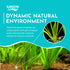 6 Pack Jungle Valisnaria Spiralis - Bare Root : Live Aquarium Plants for Healthy Aquatic Ecosystems, Excellent