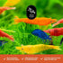 20 1/2-1 inch + Mixed Color Neocaridina Live Freshwater Aquarium Shrimps for Aquarium Beeding Age Young Adults Long.
