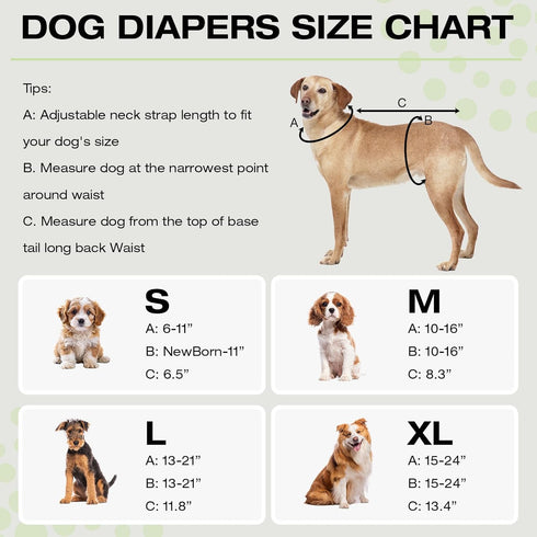 FurVeluxia 3 Pack Washable Female Dog Diapers with Adjustable Suspender, Reusable Sanitary Panties for Dogs in Heat