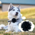 PET SHOW 12pcs Dog Collar Bows and Flowers - Embellishment Decor for Small Medium Dogs, Grooming Accessories