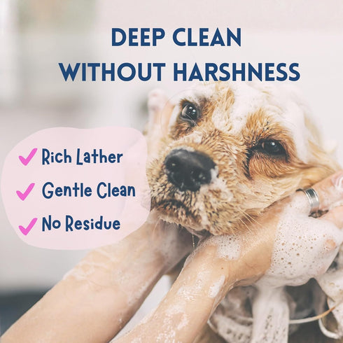 16 oz, Dog Shampoo & Conditioner with Oatmeal, Aloe & Coconut All-in-One for Long, Curly, Short & Wavy Coats, Sensitive