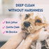 16 oz, Dog Shampoo & Conditioner with Oatmeal, Aloe & Coconut All-in-One for Long, Curly, Short & Wavy Coats, Sensitive