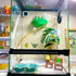 2 Pack Amphibian Aquatic Frogs Habitats with Suction Cup for Small Aquatic Animals