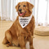 Lcekterur (2 Pack) Pregnancy Announcement Dog Bandana Baby Security in Training Printed Bandanas Baby Announcement Dog