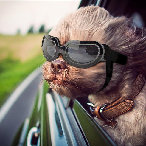 NAMSAN Dog Goggles for Small Breeds, Anti-UV Sunglasses with Elastic Straps for Eye Protection
