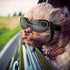 NAMSAN Dog Goggles for Small Breeds, Anti-UV Sunglasses with Elastic Straps for Eye Protection