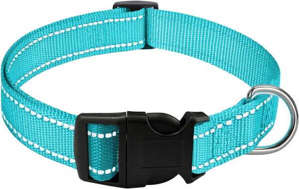 Dog Collar with Buckle, Breathable Nylon Reflective Adjustable Collars for Small, Medium, Large Dogs (Sky Blue/Large)