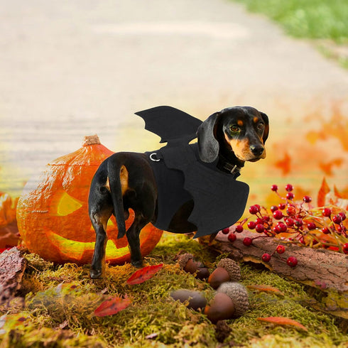 Rypet Dog Halloween Costume, Bat Wings Pet Costumes for Dogs & Cats, Halloween Party Large