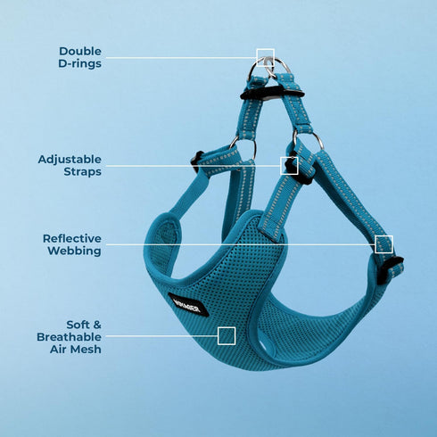 Best Pet Supplies Voyager Adjustable Dog Vest Harness, No Pull, Breathable for Small to Large Dogs, Turquoise, M