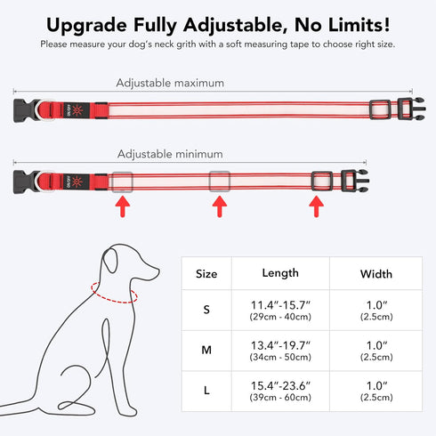 LED Light Up Dog Collars, Micro USB Rechargeable Waterproof, Adjustable Glow Dark Collar for Night Walking for Small