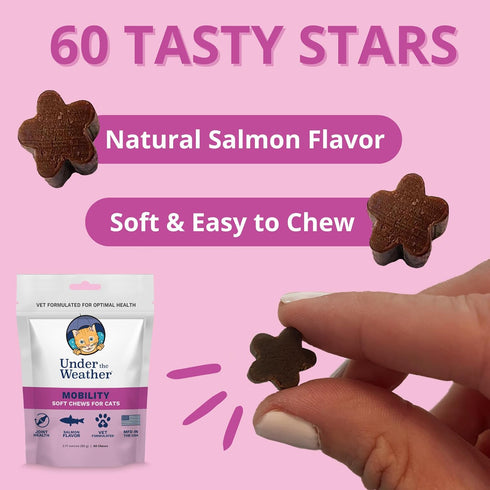 Under The Weather Pet Mobility Chews for Cats | Helps Prevent Joint Issues for Aging Cats | 60 Star Shaped Soft Chews