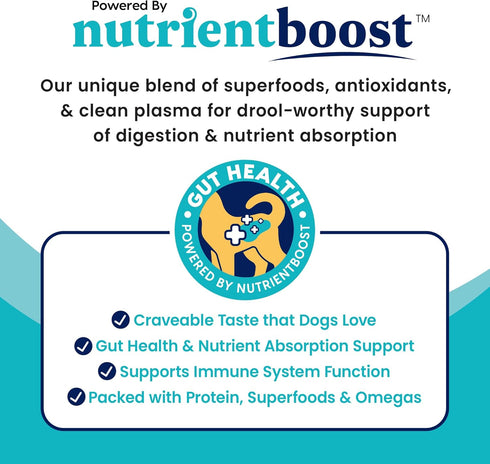 Solid Gold WET FUNCTIONAL DOG, MOBILITY, BEEF & VEG, 3.5oz Pack of 6