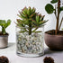 Fillers,2 LB,Light HappyFiller Small Rocks Decorative Aquarium Gravels Tiny Gravel for Fish Turtle Tank,Soil Cover