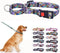Heavy Duty Dog Collar with Buckle, No Pull Escape Proof Martingale Collars for Small, Medium, Large Breed Dogs, Quick
