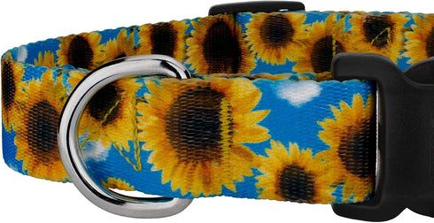 Country Brook Petz Deluxe Dog Collar, Vibrant Floral Collection for Durability, Comfort & Style, Sunflowers, Medium
