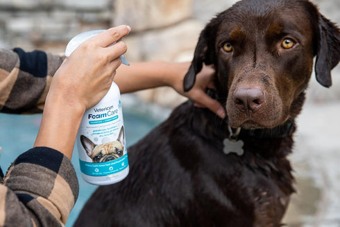 16 Vetericyn FoamCare Dog Shampoo and Conditioner - Instant Foaming, Spray-On Hypoallergenic Shampoo, Plant-Based