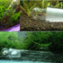 Planaria Trap Catch Trap for Aquarium, Clear Glass Leech Catcher Tube with 3 Holes for Cherry Shrimp and Dwarf Shrimp