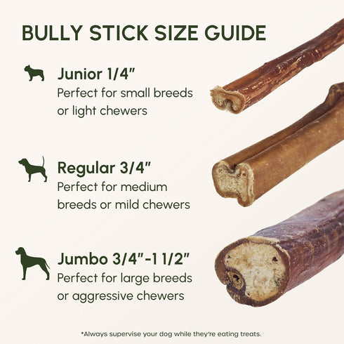 6 Inch (10 Pack) Downtown Pet Supply Bully Sticks for Dogs - Natural Beef Chews, Odor-Free & Rawhide-Free, Long Lasting