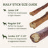 6 Inch (10 Pack) Downtown Pet Supply Bully Sticks for Dogs - Natural Beef Chews, Odor-Free & Rawhide-Free, Long Lasting