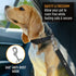 Active Pets Dog Car Seat Belt Harness, Safety Travel Restraint System for Small to Large Dogs, Blue