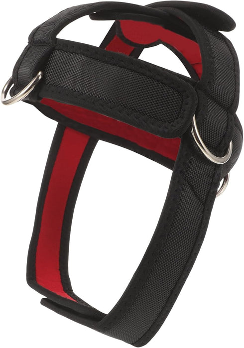 GANAZONO Neck Support Head Harness for Weight Lifting, Neck Trainer Fitness Equipment for Strength Training