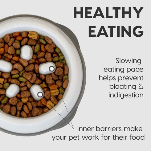 IRIS USA 4-Cup Slow Feeder Dog Bowl, Anti-Choking & Anti-Slip for Healthy Digestion