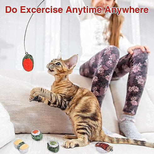 REKOBON Catnip Toys, 8 Pack Kitten Toys for Indoor Cats, Bite Resistant Chew Toy with Sushi Roll