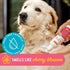Essential Fatty Acid Deodorizing Conditioner for Dogs (16oz) – Cherry Blossom Scent, Tearless and Soapless