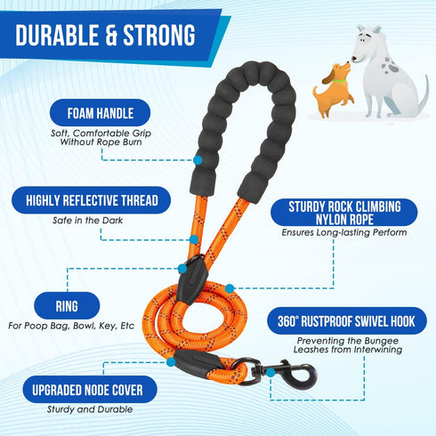 Lukovee Double Dog Leash - No Tangle 360° Swivel Heavy Duty Reflective Lead for Dogs (Orange, L)