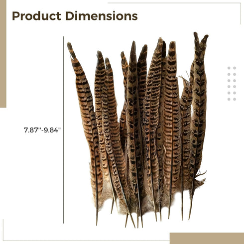 Generic 24 Natural Pheasant Feather Cat Toys, Wooden Handle Interactive Pet Teasers, Fun Exercise and Play Tools