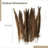 Generic 24 Natural Pheasant Feather Cat Toys, Wooden Handle Interactive Pet Teasers, Fun Exercise and Play Tools