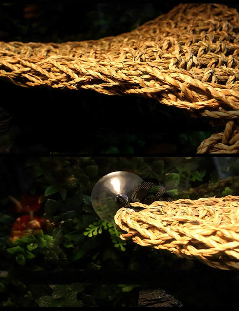 Tfwadmx 2 Pack Bearded Dragon Hammock, Reptile Climbing Decor, 100% Natural Seagrass Fabric for Reptiles