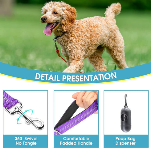 BAAPET 5 Feet Nylon Dog Leash, Triple Reflective Threads with Padded Handle for Walking Medium and Large Dogs (Purple)