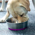 5mm Thick Stainless Steel Dog Bowls, Non-Slip with Silicone Base, 2 Cups Food Grade BPA Free, 2 Pack