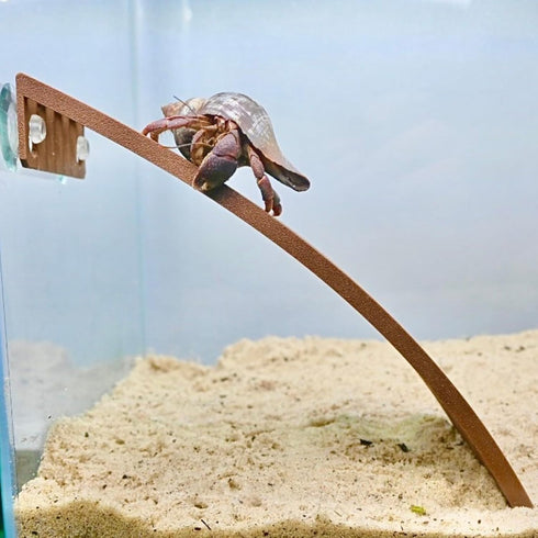 Lucky Critter Hermit Crab Ladder Ramp Climbing Toy | Hermit Crab Tank Enrichment Decor | Hermit Crab Decoration